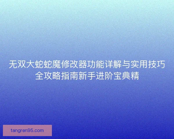 无双大蛇蛇魔修改器功能详解与实用技巧全攻略指南新手进阶宝典精