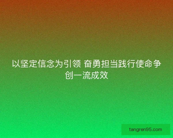 以坚定信念为引领 奋勇担当践行使命争创一流成效